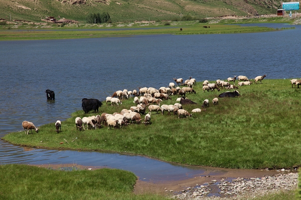 IMG_8586 С ���� ţȺ.jpg