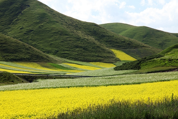 IMG_8696-1 С 7��ĩ���Ͳ˻�.jpg