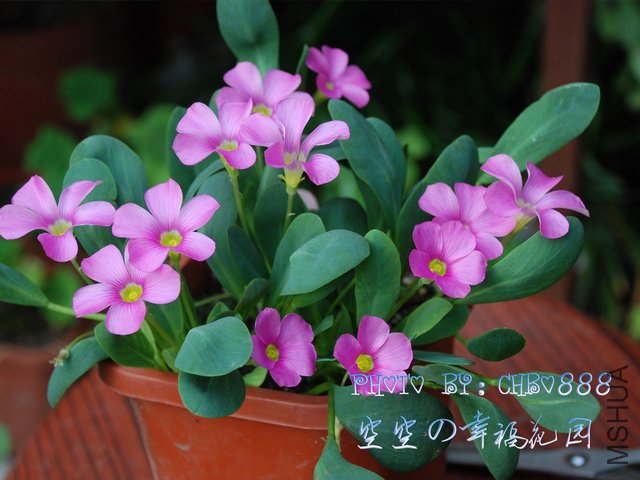 jmc ����.jpg