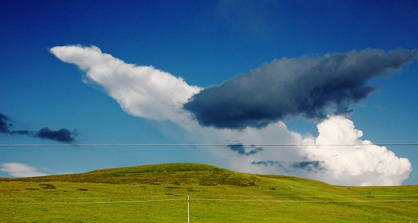 IMG_8930 С ������ǧ.jpg