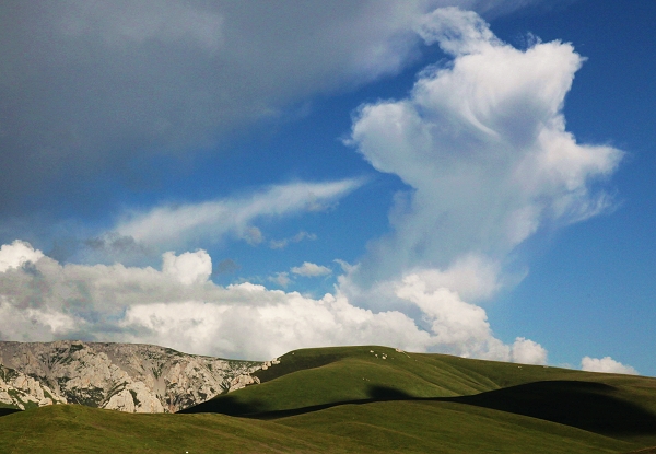 IMG_8943 С ������ǧ.jpg