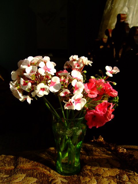 DSCF0257.JPG