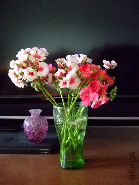 DSCF0262.JPG