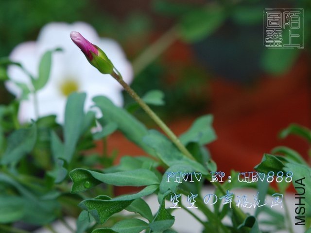 nEO_IMG_59-2.jpg