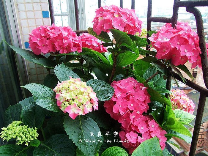 DSCF1547s.jpg