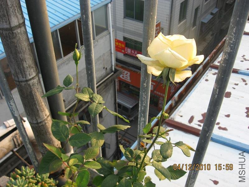 201012 020.jpg