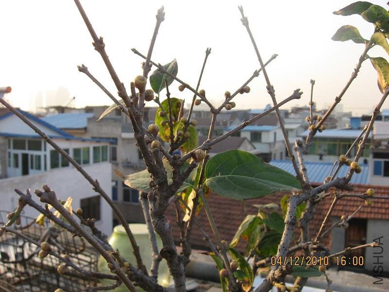 201012 024.jpg