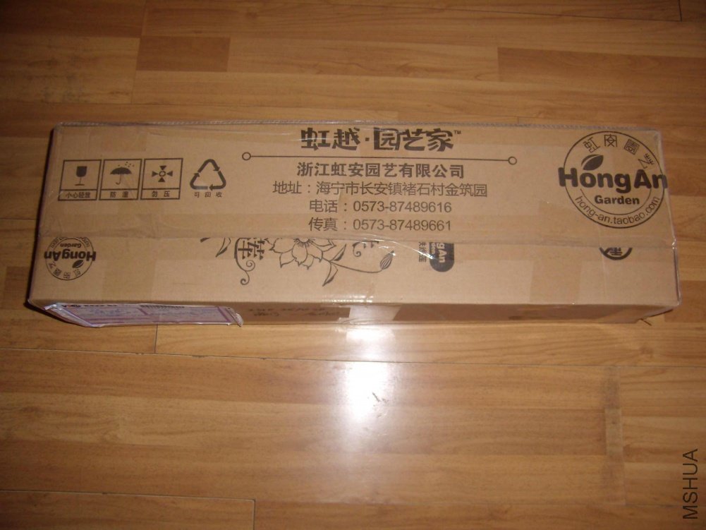 2010_1204-01.jpg