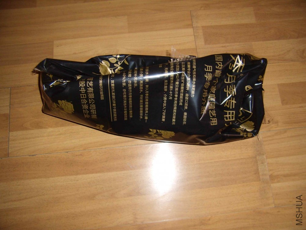 2010_1204-03.jpg