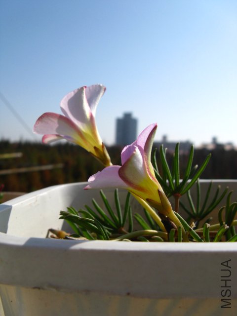 �������ı���~