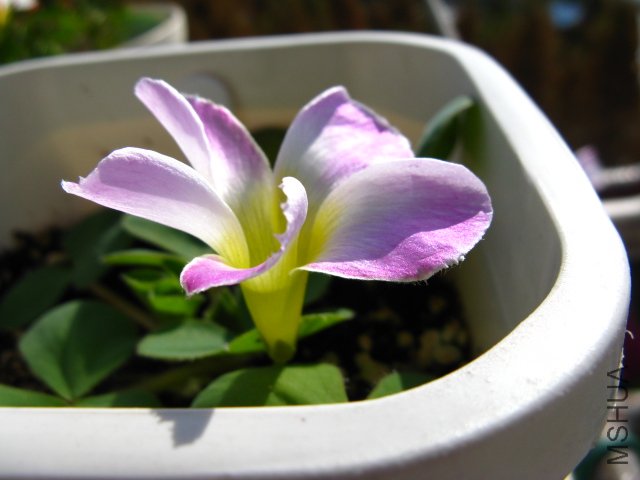 Ŀǰֻ����һ�䣬�ױ߲����ԣ���֪���Ժ������Щô...