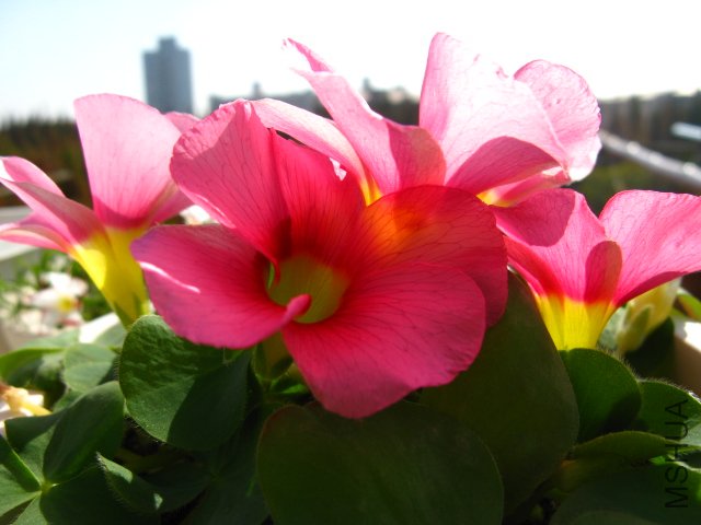 ��������~��