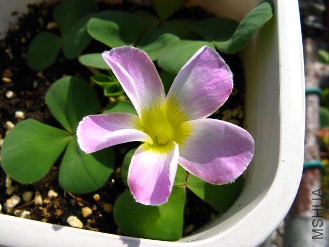 չ������չ����~