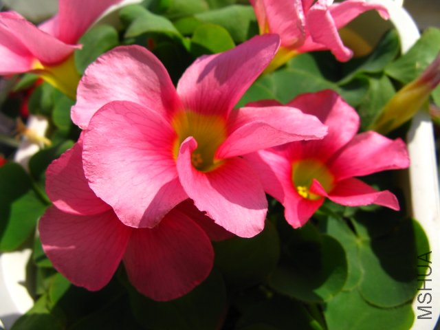 ������ķ�ܽ��~��