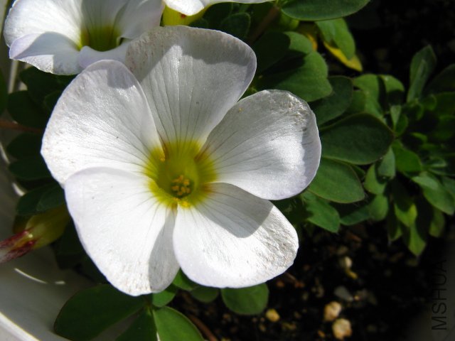 �����ǲ��ǳ��ĺ���