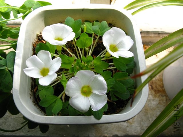 ����ʱ����Ƭ����Ȼͽ���ˣ����ǱȽ��й�ģһ�㣬������һ��~��