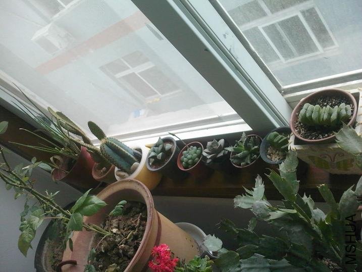 041810154707.jpg