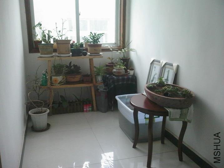 041810154801.jpg