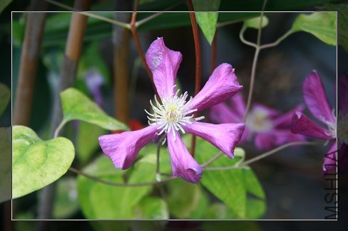 �ҵ����������������� �������Ѿ������˵��ǻ���û�п���