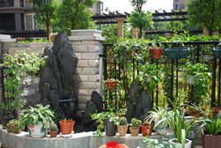DSC_0150.jpg
