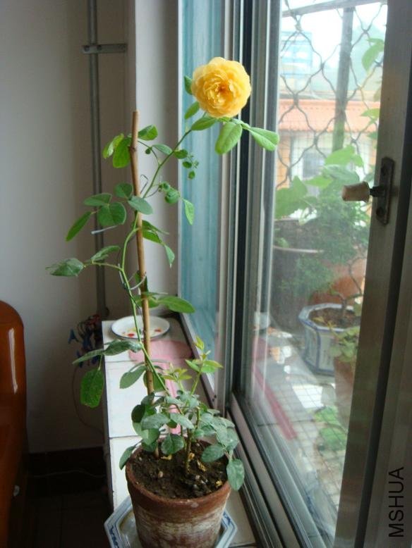 DSC01529.JPG
