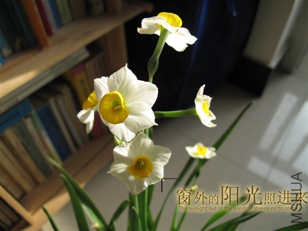 ��Ƭ 005_����.jpg