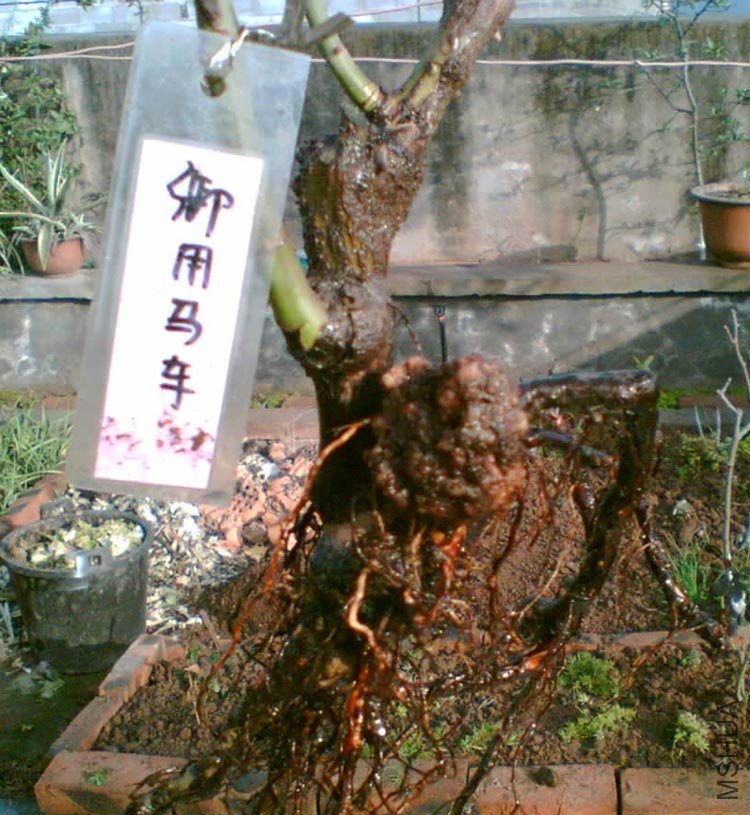 05.jpg