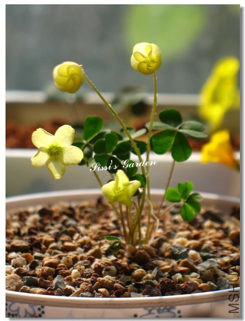 ż�������ͺ��� ����