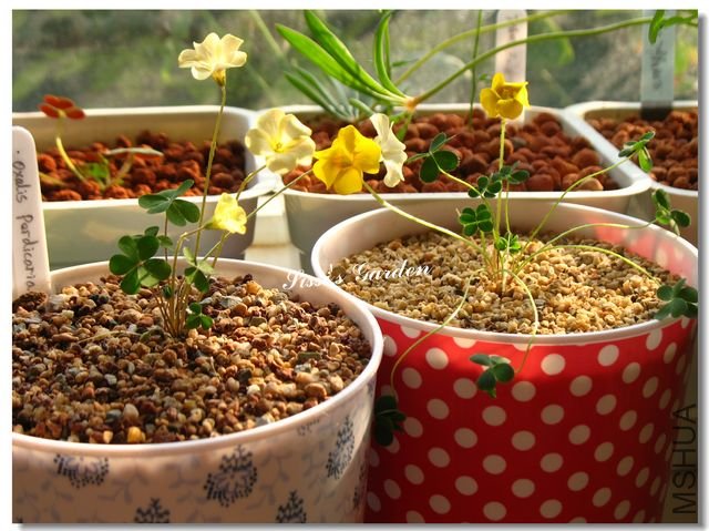 nEO_IMG_101113 042.jpg