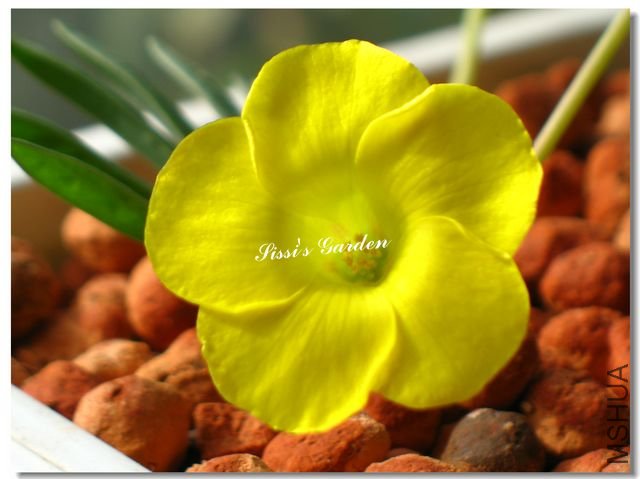 nEO_IMG_101113 065.jpg