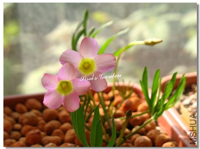 nEO_IMG_101113 073.jpg