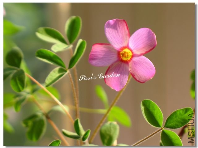 nEO_IMG_101113 028.jpg