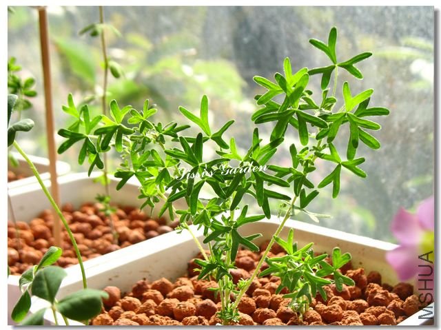 nEO_IMG_101113 076.jpg