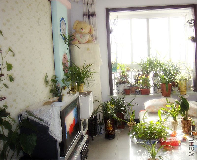 DSC05011.JPG
