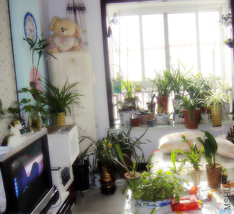 DSC05005.JPG