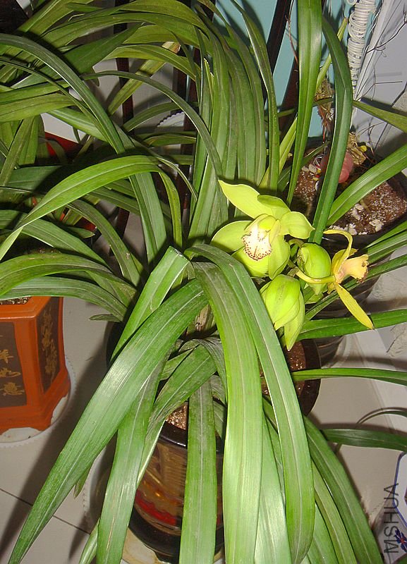 DSC04926.JPG