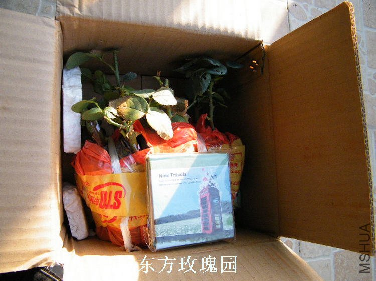 DSCF6095.jpg