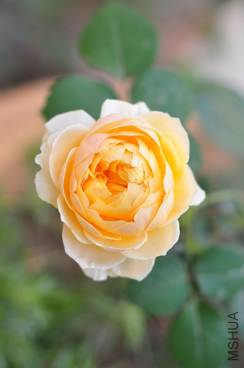 DSC_8252.JPG