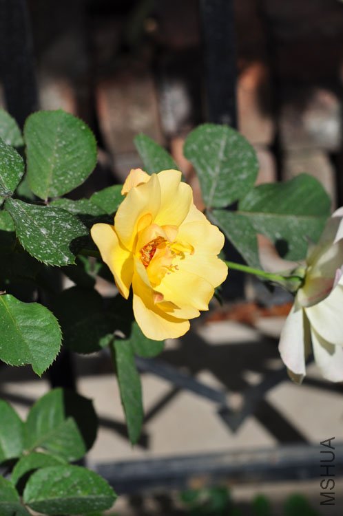 DSC_8258.JPG