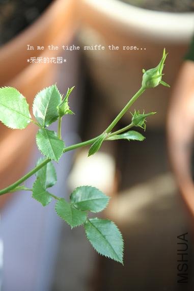 ��Ƭ 011.jpg
