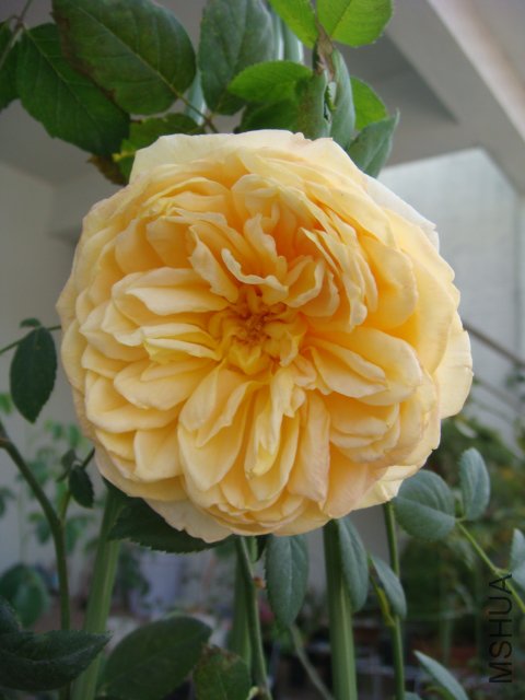 DSC04297.JPG