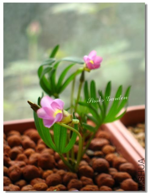 nEO-IMG-101116 014.jpg