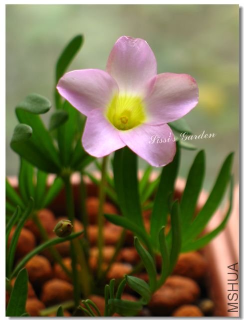 nEO-IMG-101116 027.jpg