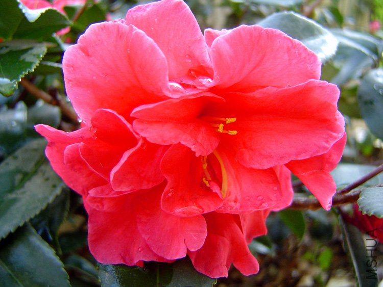 ��÷���� (4).jpg