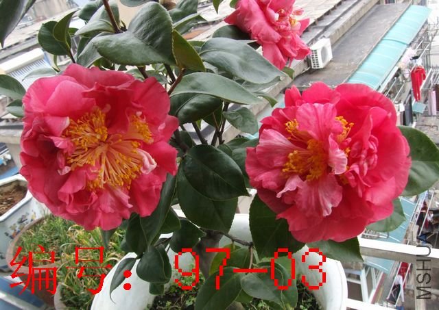 DSCF2283.JPG