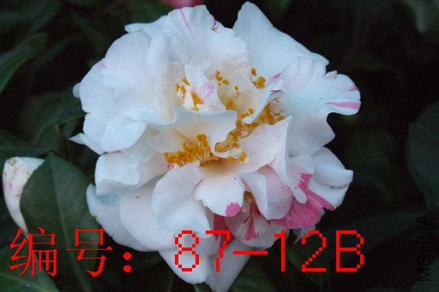 DSCF3500.JPG
