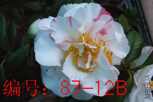 DSCF3414.JPG