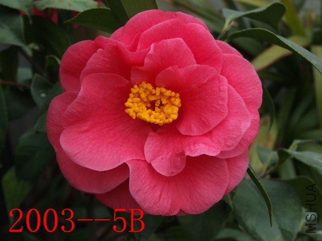 DSCF3343.JPG