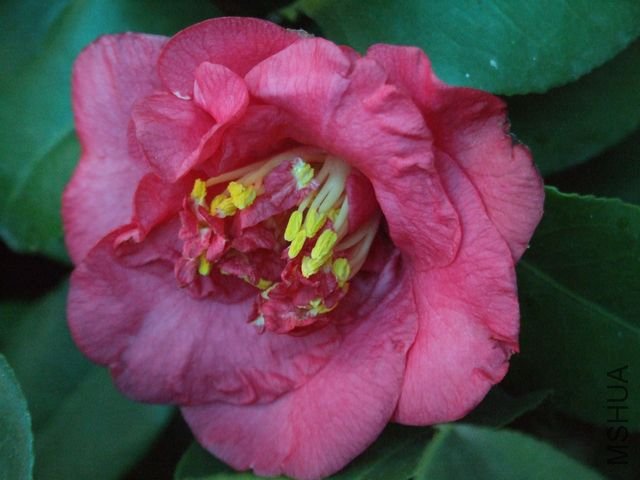 DSCF3224.JPG