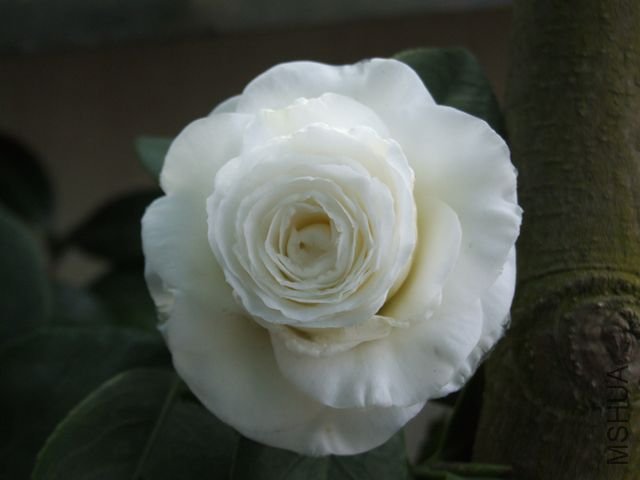 DSCF7169.JPG